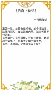 ​完结宫斗文盘点：《后宫上位记》《宫媚》《婕妤生存攻略》