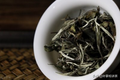 ​福鼎白茶是属于什么茶类（福鼎白茶是属于什么茶类daikinq）