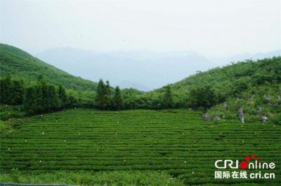 ​隐藏在湘中腹地的世外桃源—安化云台山