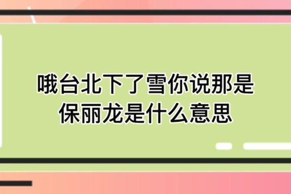 保丽龙是什么东西 台湾人说的保丽龙是什么意思