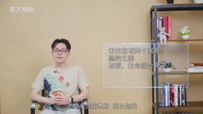 ​米兰花的象征意义 米兰花象征着什么