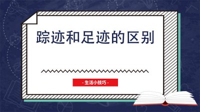 ​踪迹与足迹的区别 踪迹与足迹