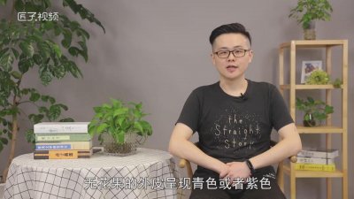 ​孕妇可以吃陈皮无花果吗 无花果孕妇可不可以吃