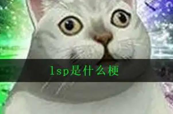 热梗lsp是什么梗？你知道多少？  1