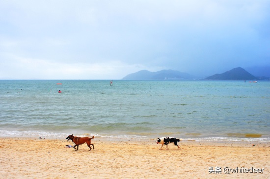 深圳较场尾 -- 夏日海滨游玩好去处