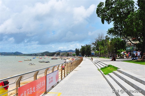 深圳较场尾 -- 夏日海滨游玩好去处