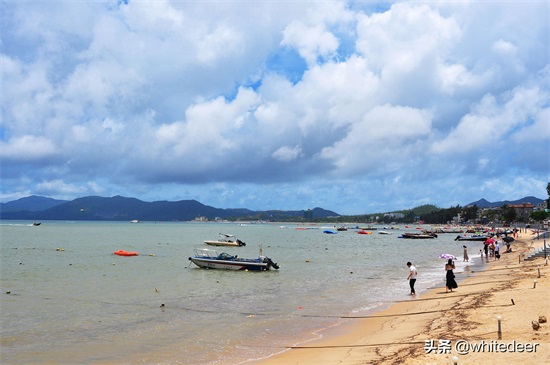 深圳较场尾 -- 夏日海滨游玩好去处