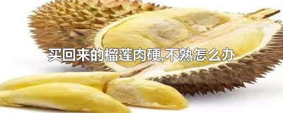 ​扒开的榴莲肉没有熟怎么办 榴莲肉没熟怎么办?