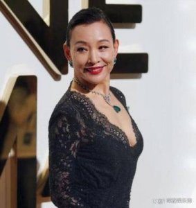 ​陈冲与刘晓庆：两位女演员的光辉岁月与人生抉择